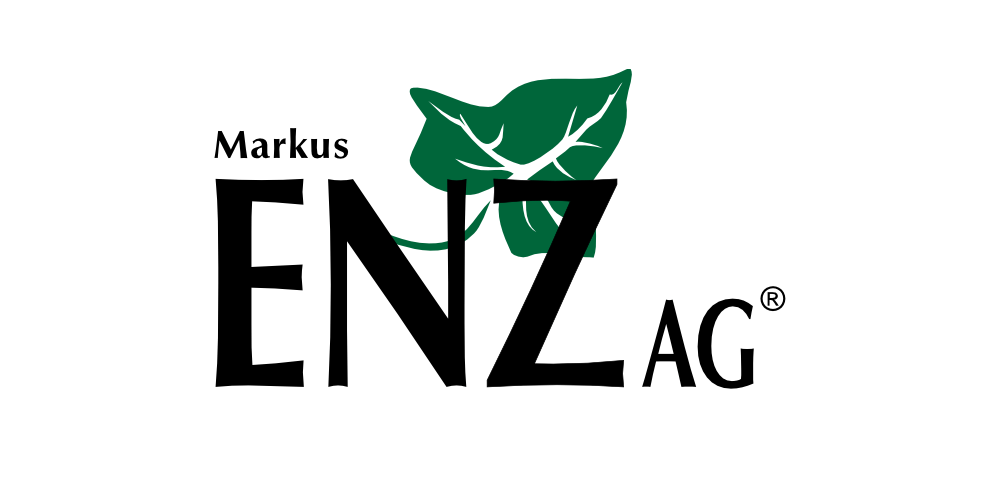 Markus Enz AG
