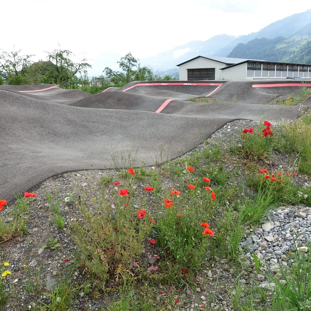 Pumptrack Sarneraatal